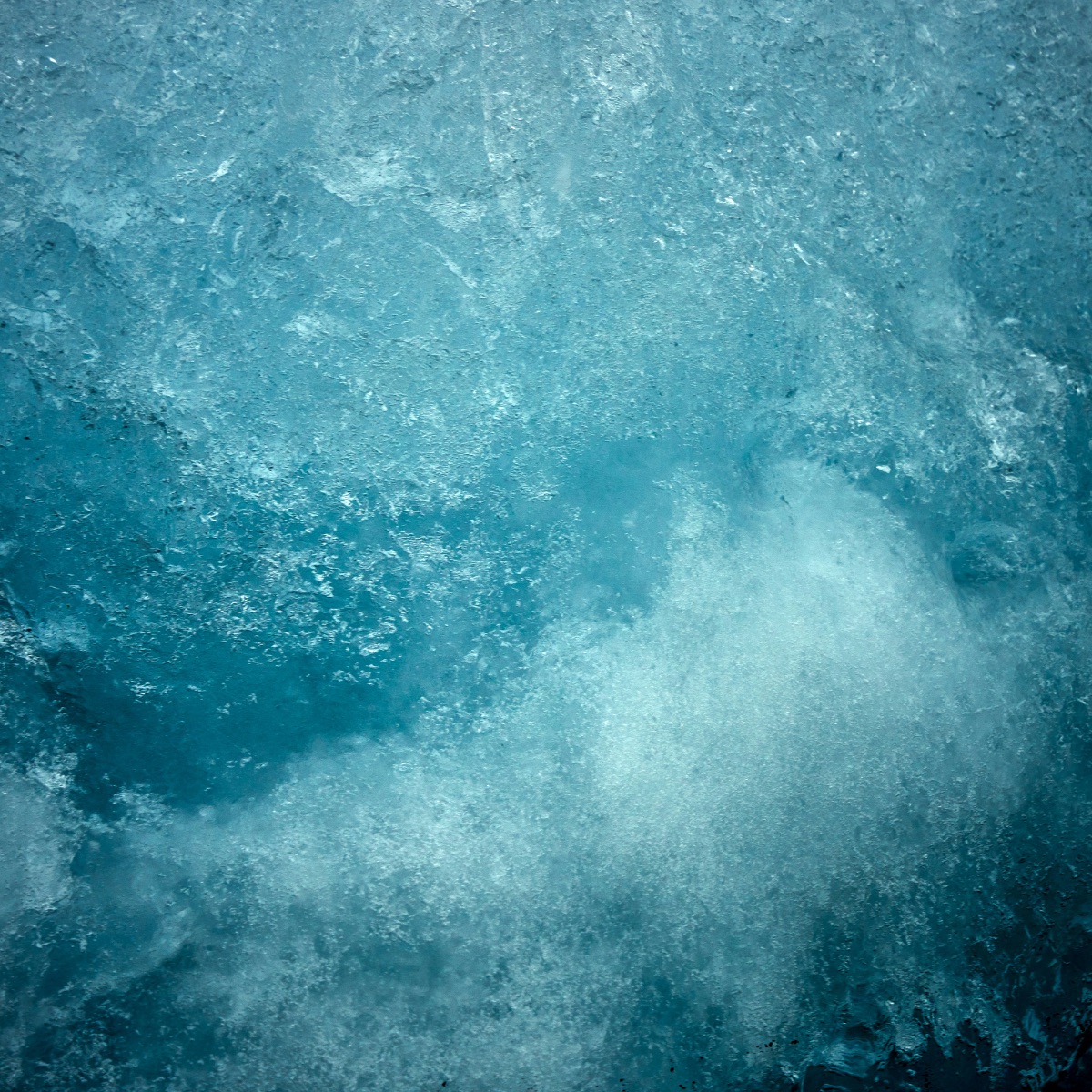 Close-up of ice floes in the ice bath